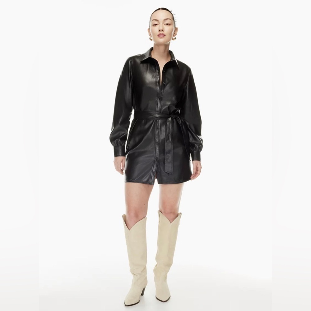 Aritzia Wilfred Caroline Dress